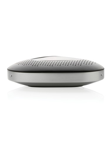 Speaker conference call